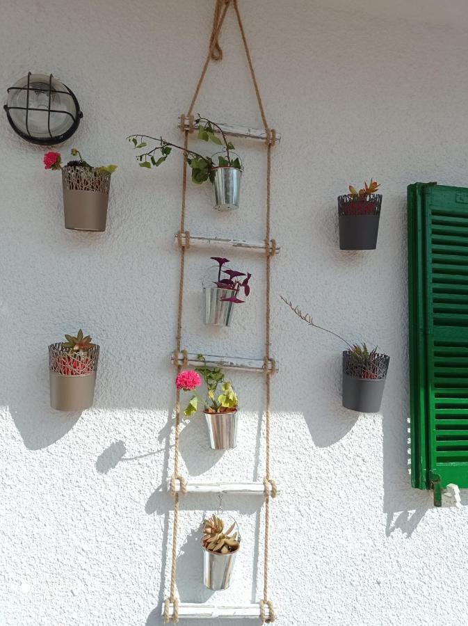 Fantastic, 100 Meters From The Beach Apartment